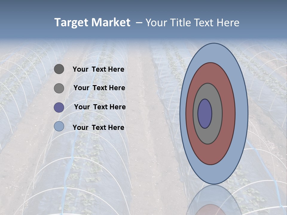 Perspective In A Strawberry Culture During Spring. PowerPoint Template