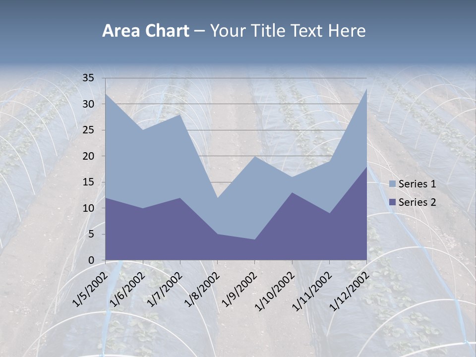 Perspective In A Strawberry Culture During Spring. PowerPoint Template