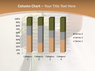 The Bride Holds A Wedding Bouquet PowerPoint Template