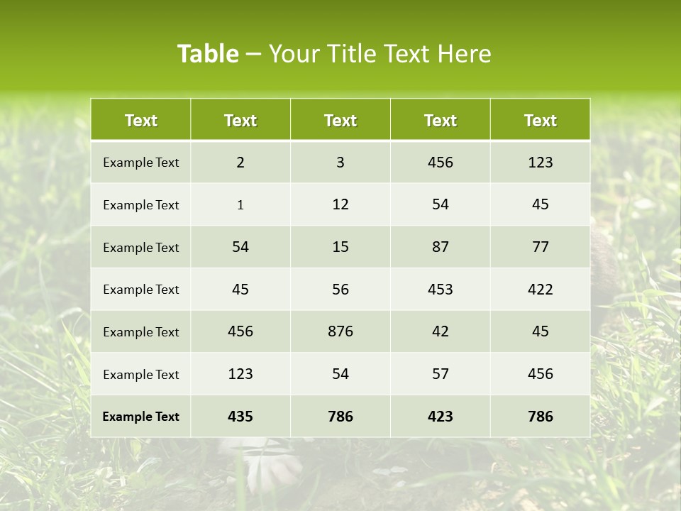 Two Young Border Collies Looking Towards You PowerPoint Template