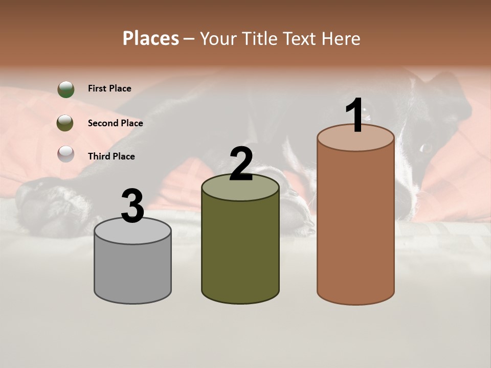 Cute Pitbull Pointer Mix Puppy Lounging PowerPoint Template