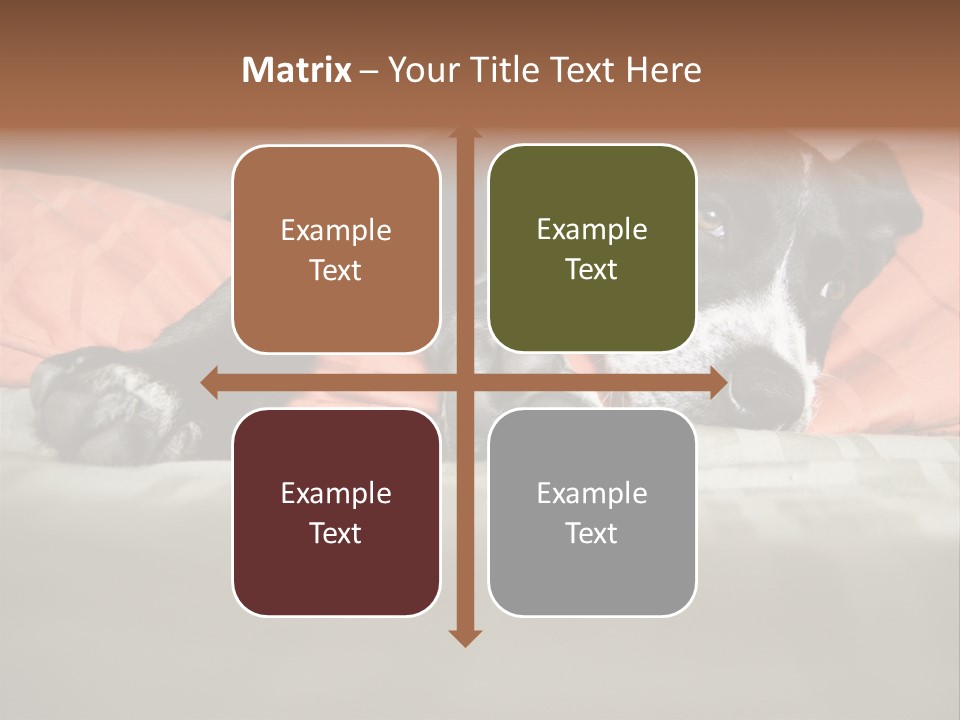 Cute Pitbull Pointer Mix Puppy Lounging PowerPoint Template