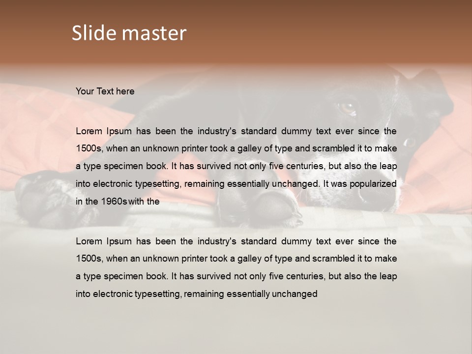 Cute Pitbull Pointer Mix Puppy Lounging PowerPoint Template