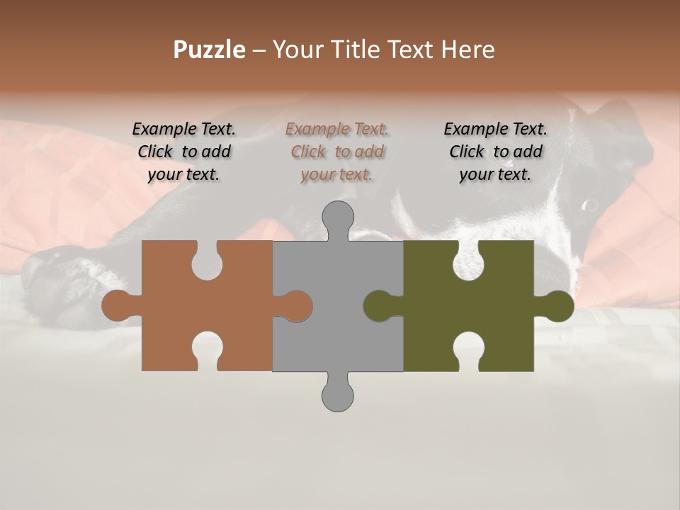 Cute Pitbull Pointer Mix Puppy Lounging PowerPoint Template