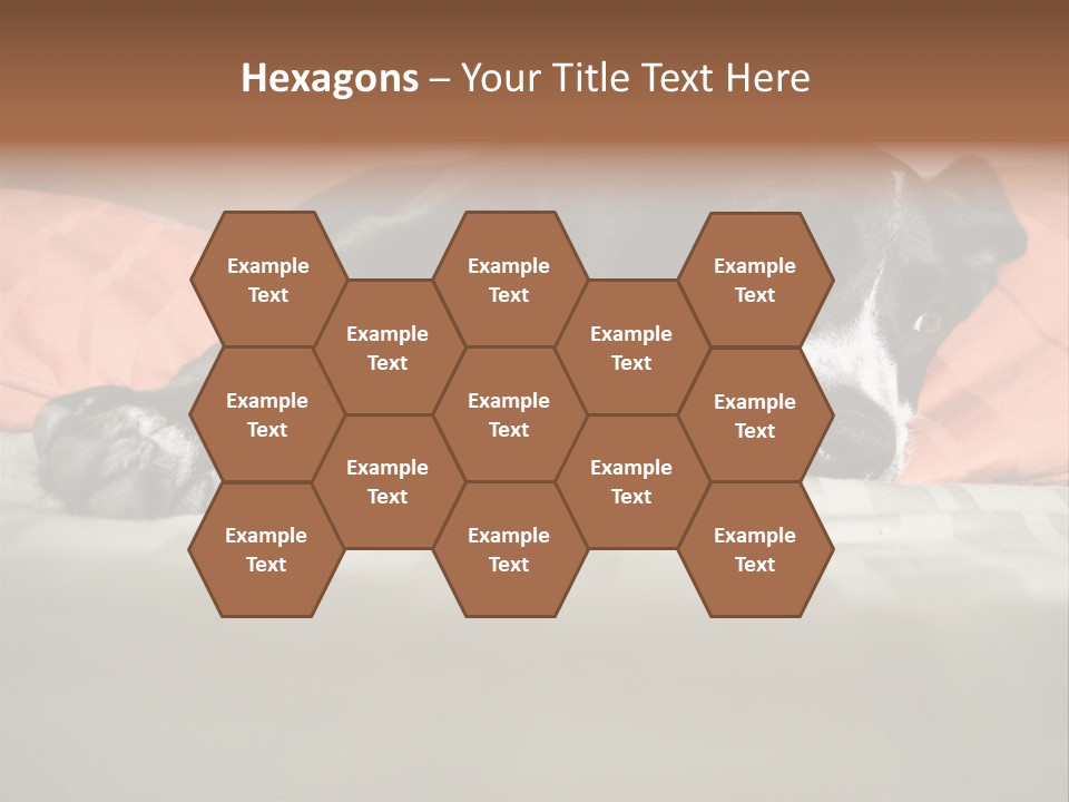 Cute Pitbull Pointer Mix Puppy Lounging PowerPoint Template