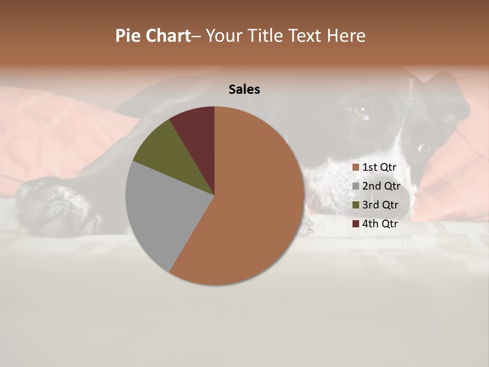 Cute Pitbull Pointer Mix Puppy Lounging PowerPoint Template