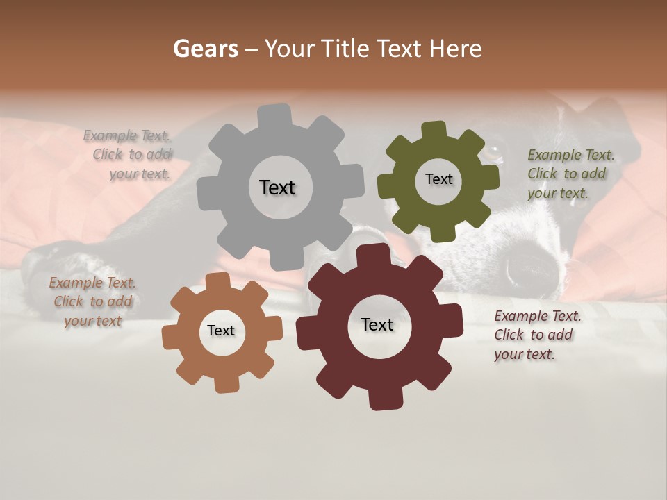 Cute Pitbull Pointer Mix Puppy Lounging PowerPoint Template