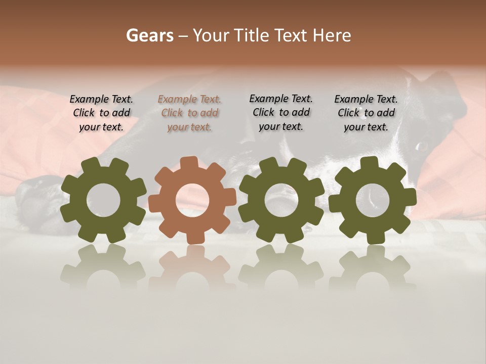 Cute Pitbull Pointer Mix Puppy Lounging PowerPoint Template