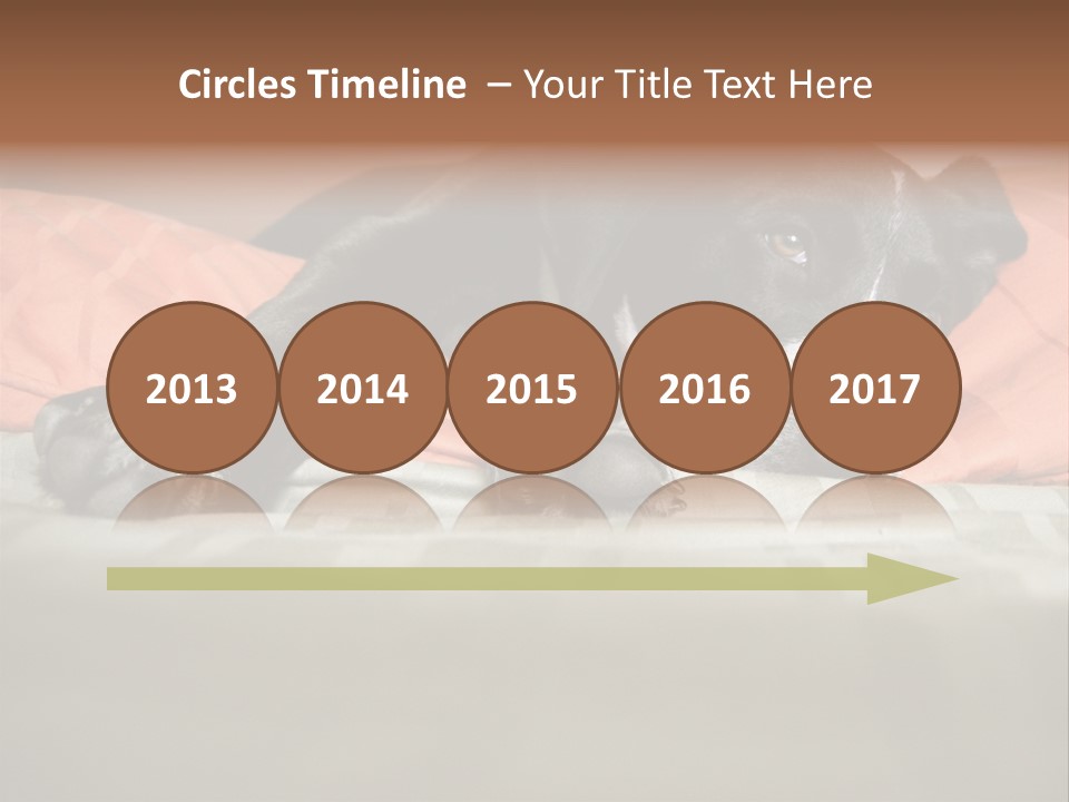 Cute Pitbull Pointer Mix Puppy Lounging PowerPoint Template