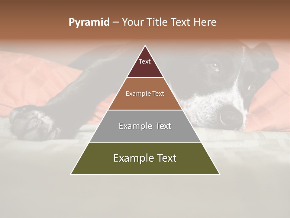 Cute Pitbull Pointer Mix Puppy Lounging PowerPoint Template