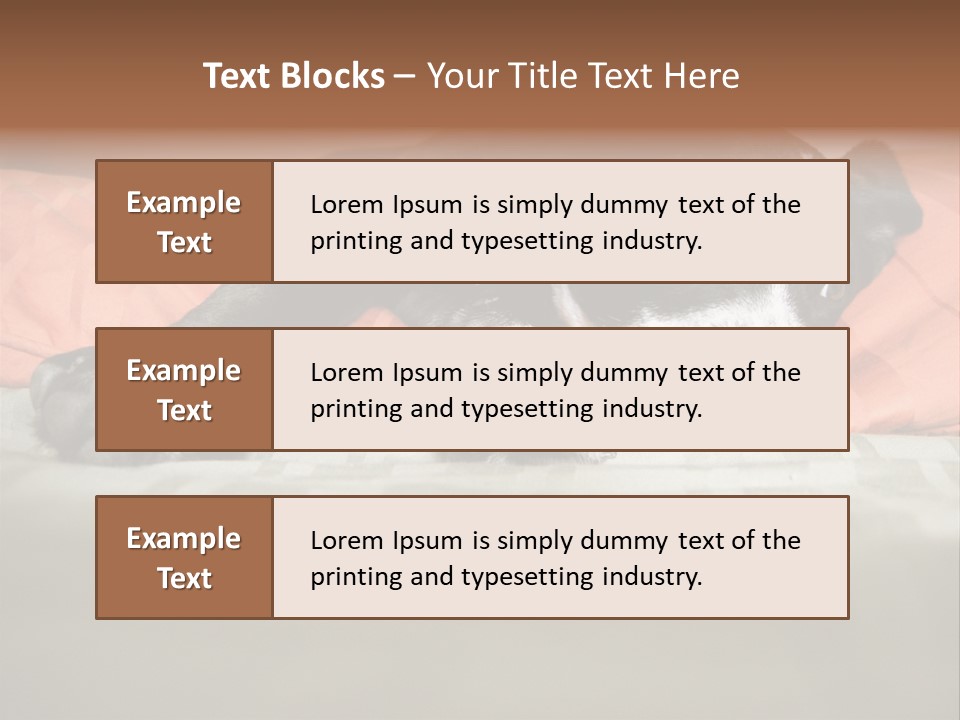 Cute Pitbull Pointer Mix Puppy Lounging PowerPoint Template