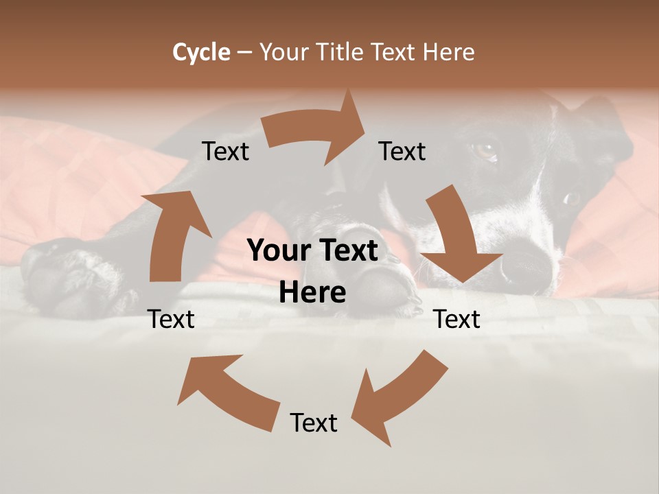 Cute Pitbull Pointer Mix Puppy Lounging PowerPoint Template