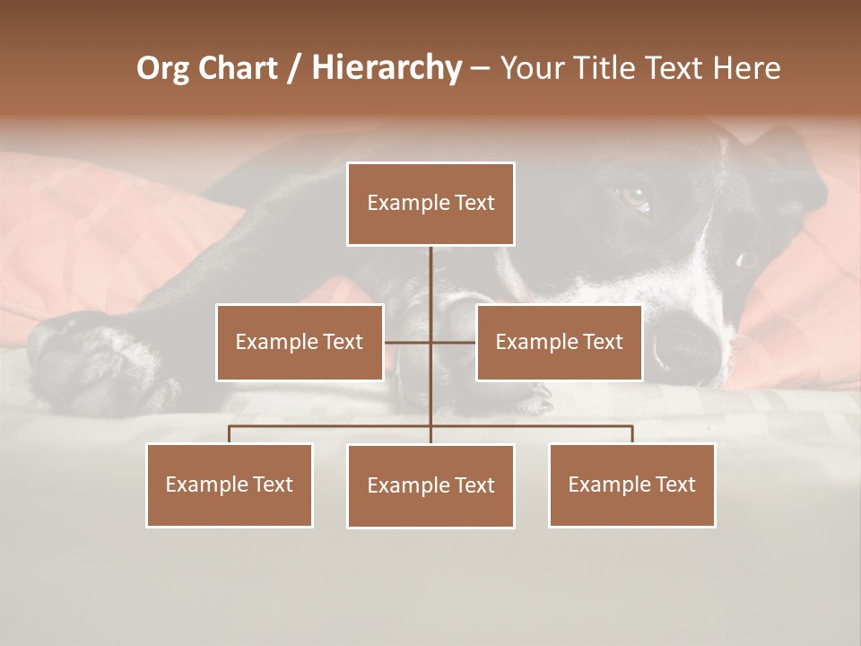 Cute Pitbull Pointer Mix Puppy Lounging PowerPoint Template