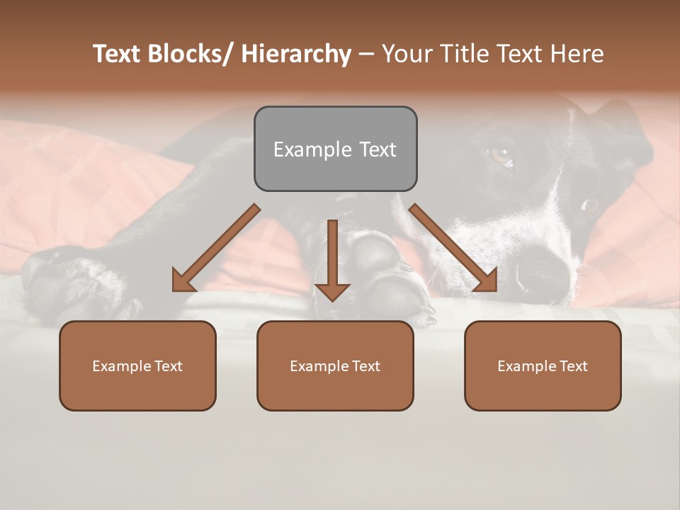 Cute Pitbull Pointer Mix Puppy Lounging PowerPoint Template