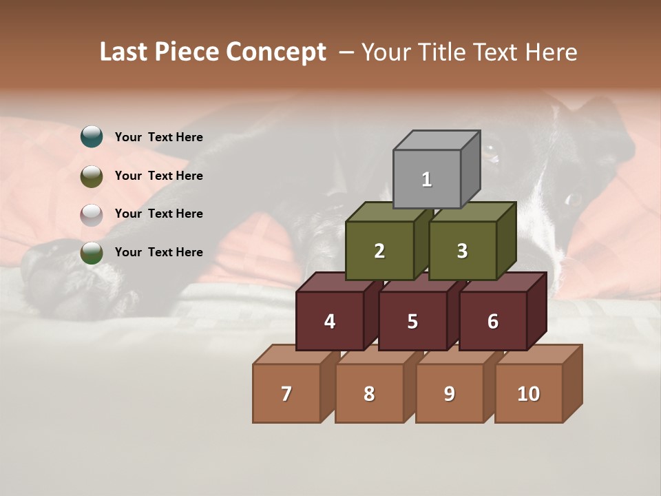 Cute Pitbull Pointer Mix Puppy Lounging PowerPoint Template