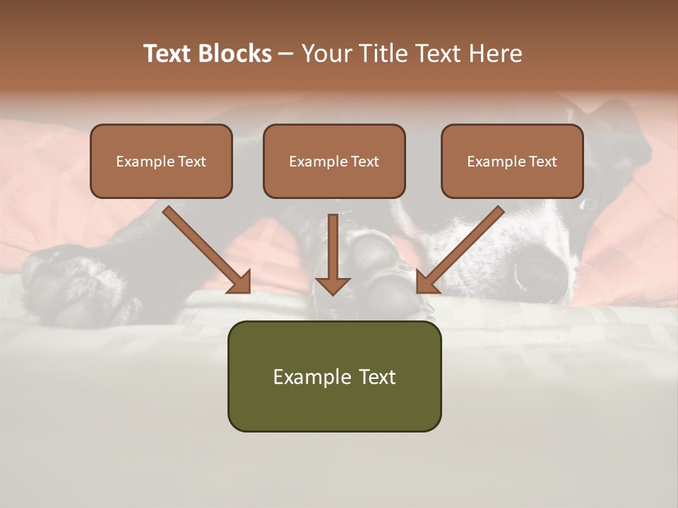 Cute Pitbull Pointer Mix Puppy Lounging PowerPoint Template