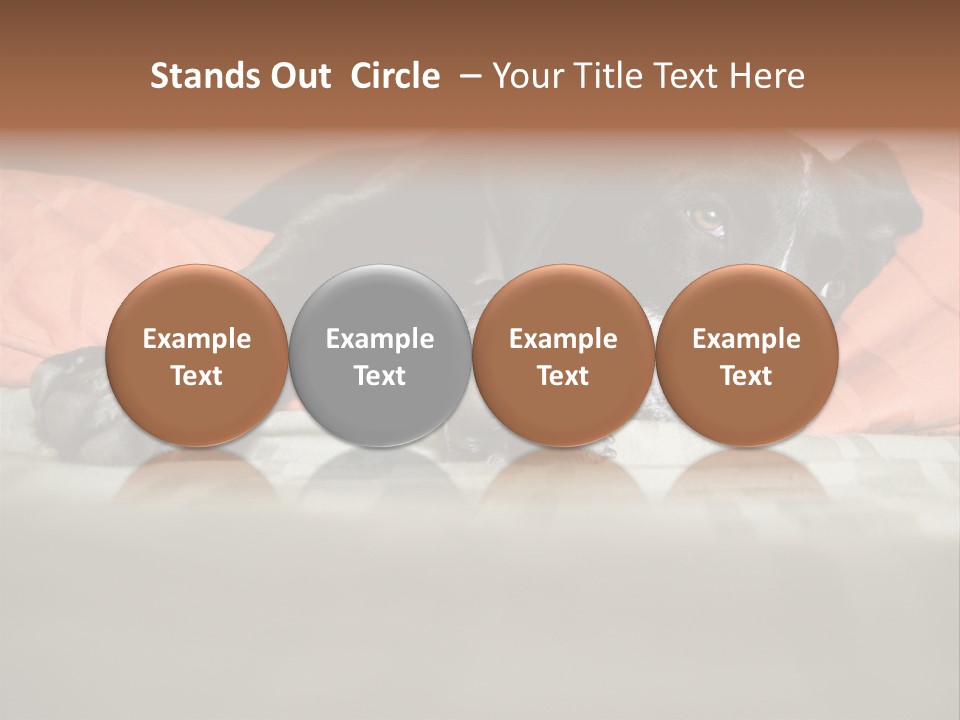 Cute Pitbull Pointer Mix Puppy Lounging PowerPoint Template