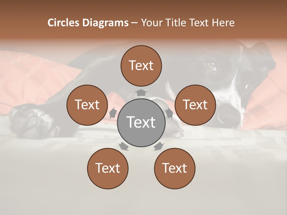 Cute Pitbull Pointer Mix Puppy Lounging PowerPoint Template