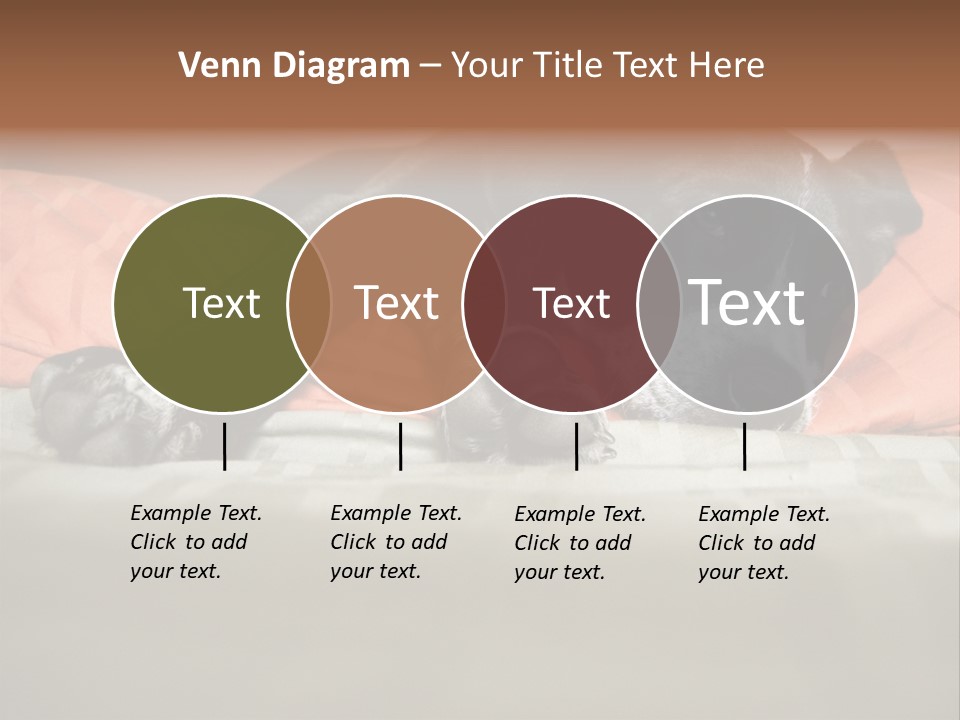 Cute Pitbull Pointer Mix Puppy Lounging PowerPoint Template