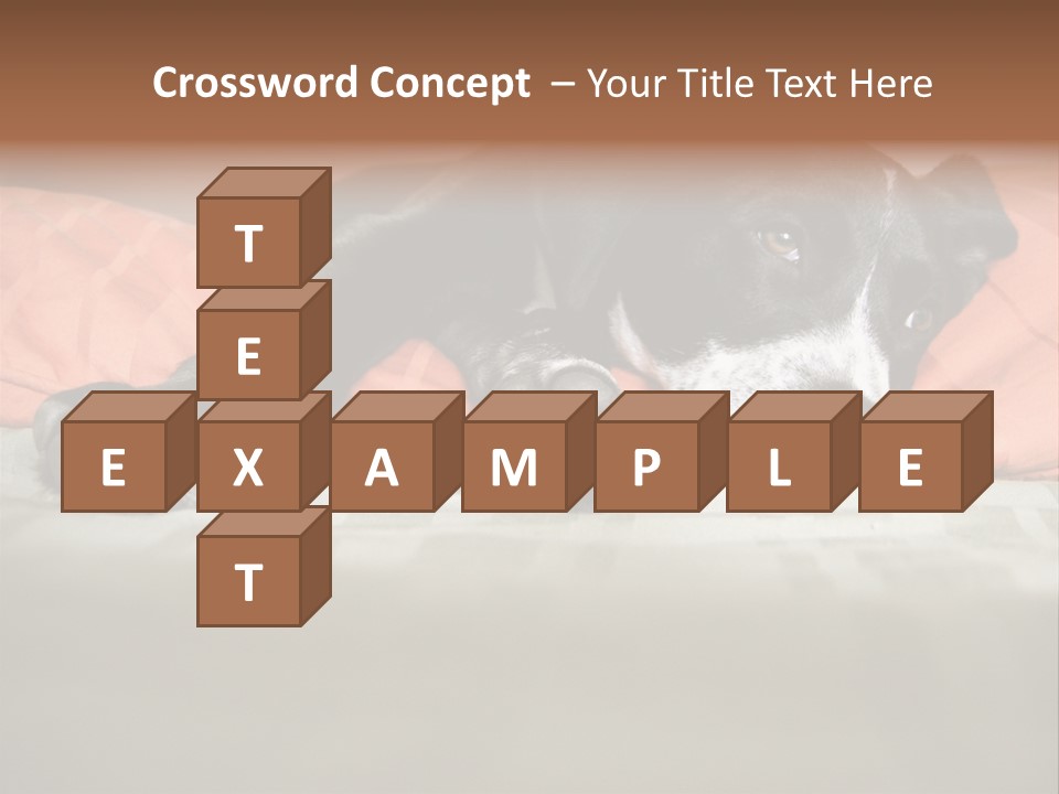 Cute Pitbull Pointer Mix Puppy Lounging PowerPoint Template