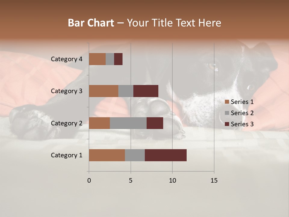 Cute Pitbull Pointer Mix Puppy Lounging PowerPoint Template