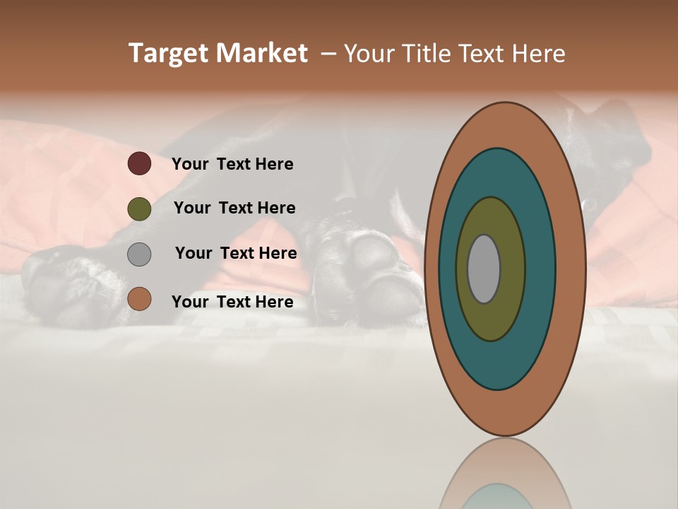 Cute Pitbull Pointer Mix Puppy Lounging PowerPoint Template