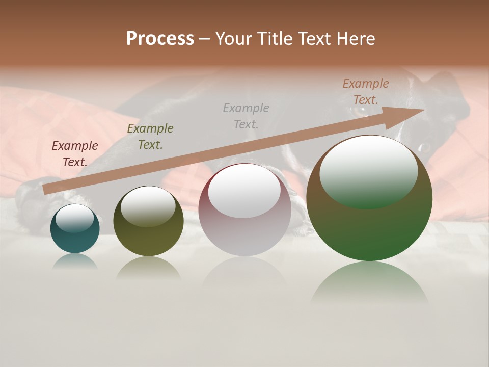 Cute Pitbull Pointer Mix Puppy Lounging PowerPoint Template