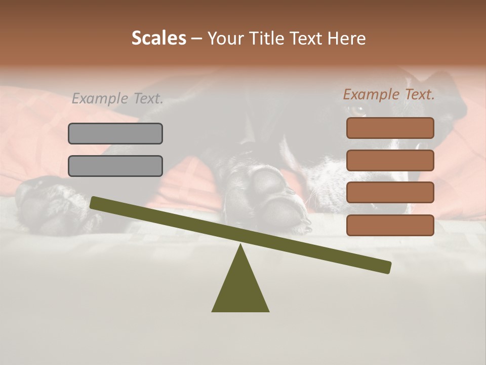 Cute Pitbull Pointer Mix Puppy Lounging PowerPoint Template