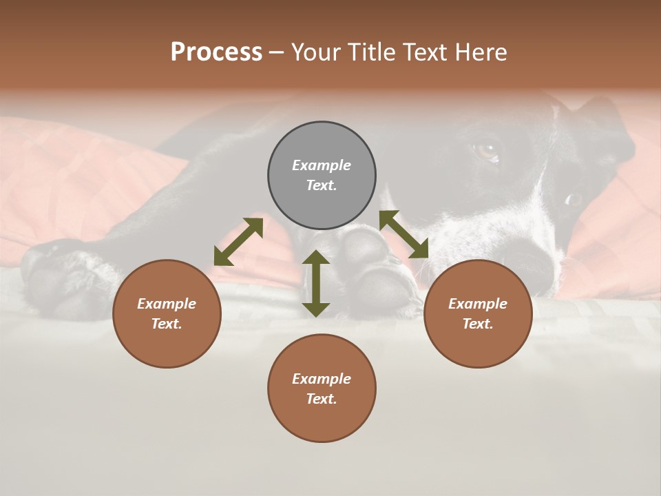 Cute Pitbull Pointer Mix Puppy Lounging PowerPoint Template