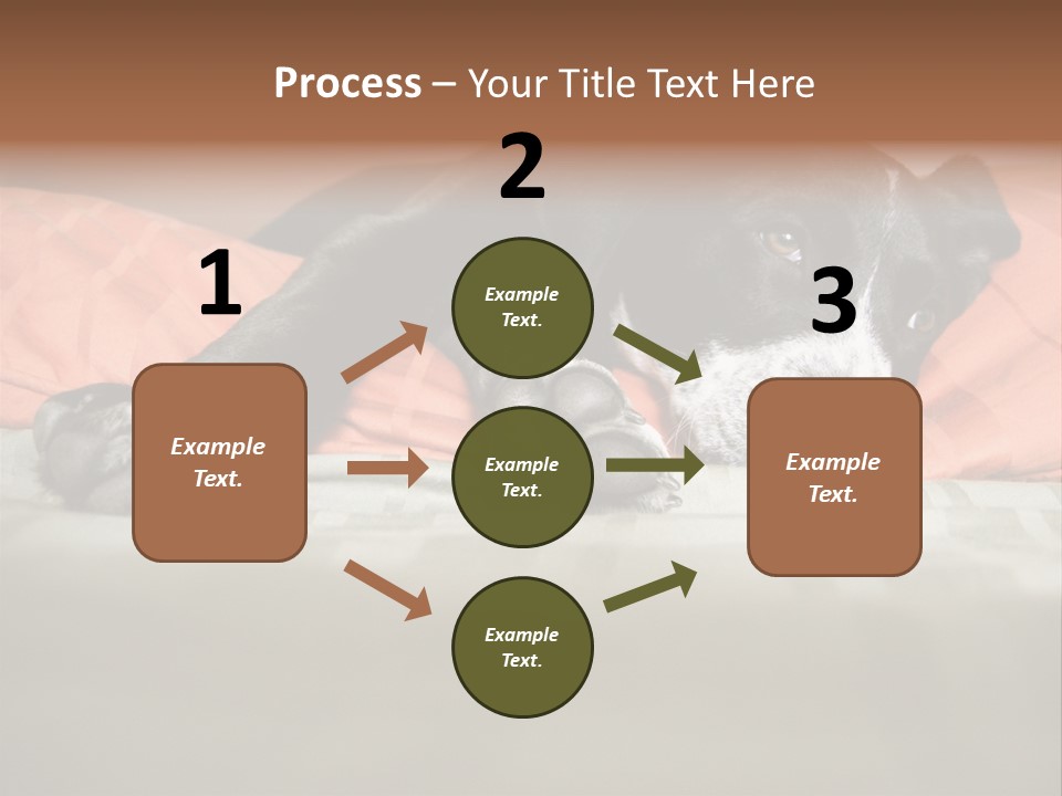 Cute Pitbull Pointer Mix Puppy Lounging PowerPoint Template