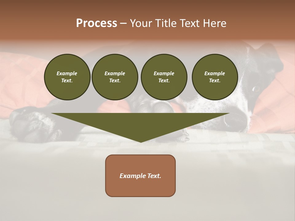 Cute Pitbull Pointer Mix Puppy Lounging PowerPoint Template