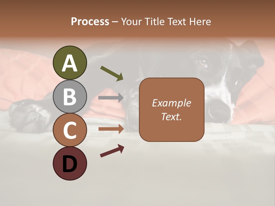 Cute Pitbull Pointer Mix Puppy Lounging PowerPoint Template