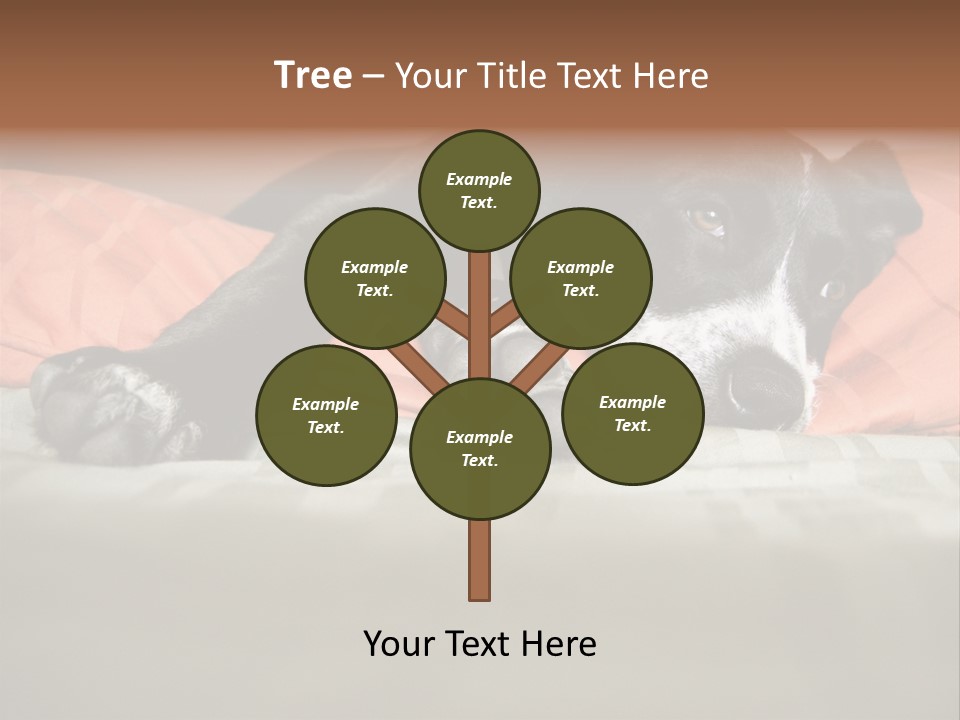 Cute Pitbull Pointer Mix Puppy Lounging PowerPoint Template