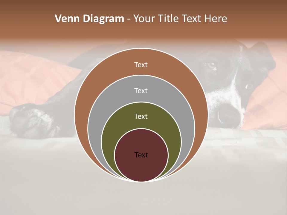 Cute Pitbull Pointer Mix Puppy Lounging PowerPoint Template