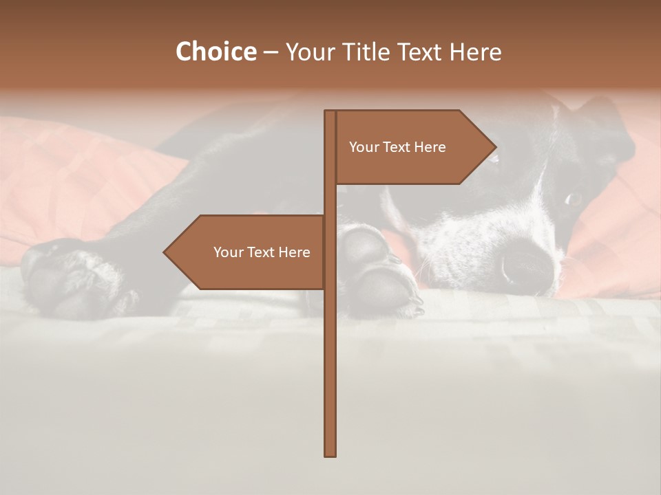 Cute Pitbull Pointer Mix Puppy Lounging PowerPoint Template