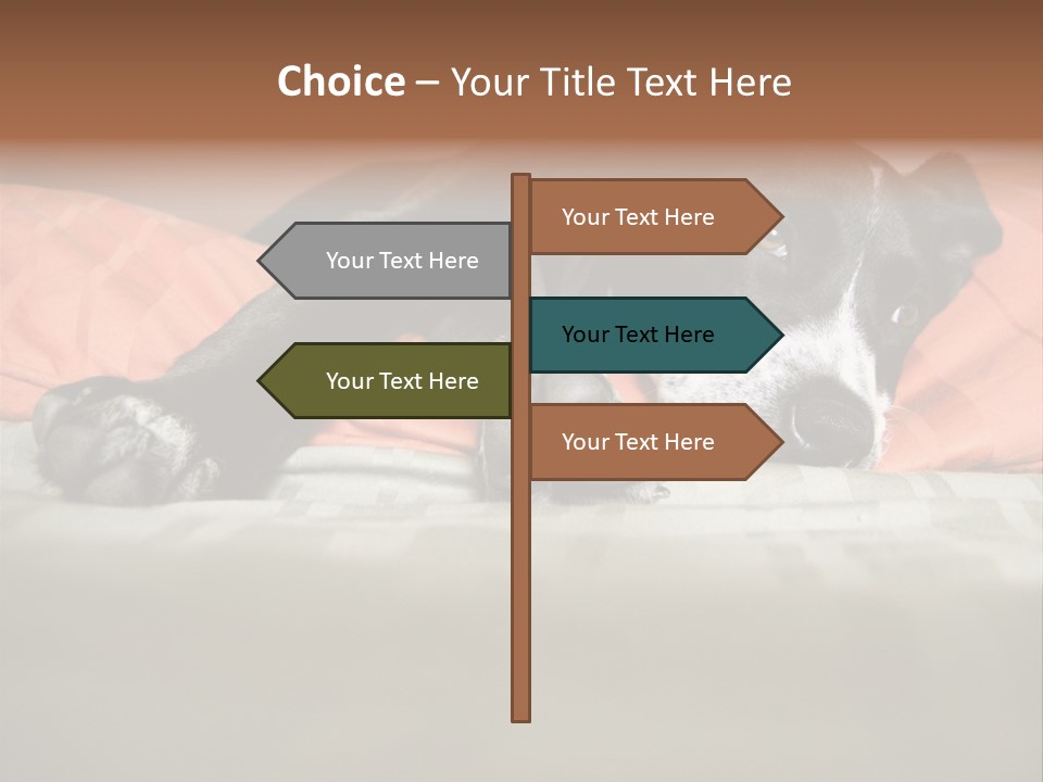 Cute Pitbull Pointer Mix Puppy Lounging PowerPoint Template