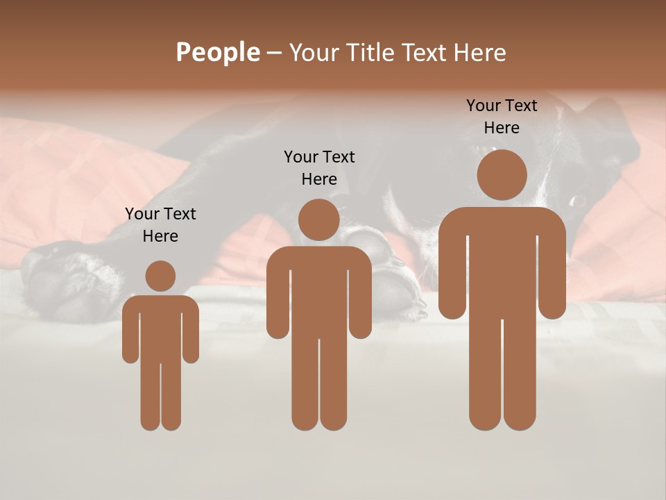 Cute Pitbull Pointer Mix Puppy Lounging PowerPoint Template