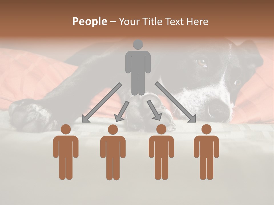 Cute Pitbull Pointer Mix Puppy Lounging PowerPoint Template