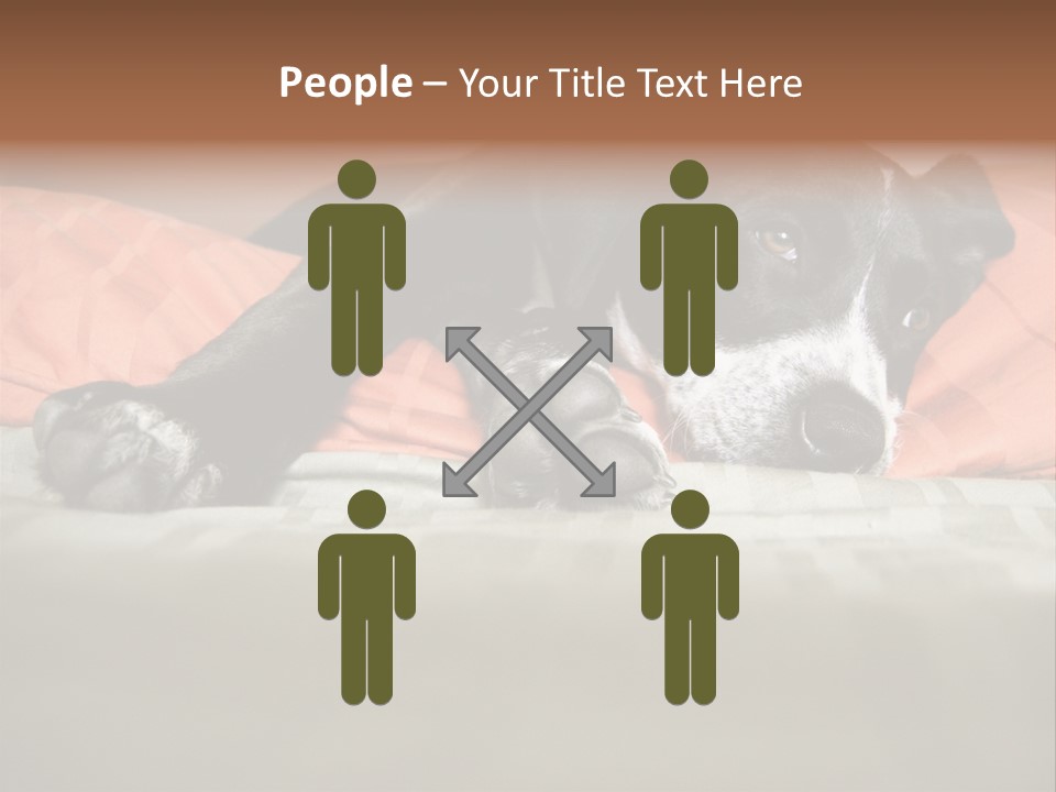 Cute Pitbull Pointer Mix Puppy Lounging PowerPoint Template