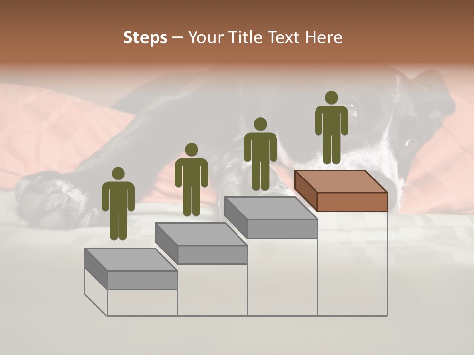 Cute Pitbull Pointer Mix Puppy Lounging PowerPoint Template