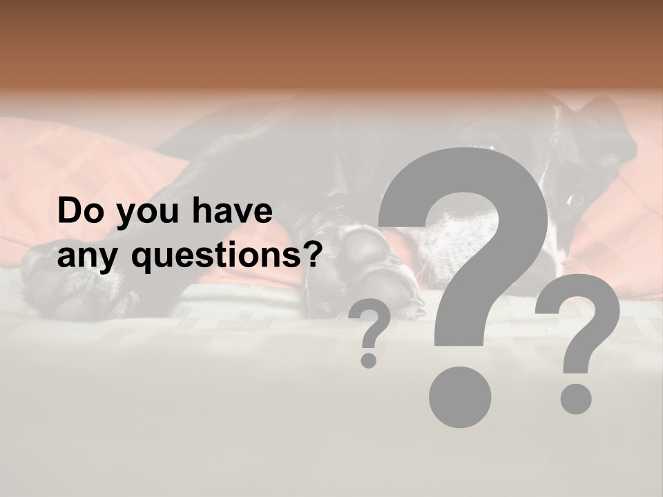 Cute Pitbull Pointer Mix Puppy Lounging PowerPoint Template