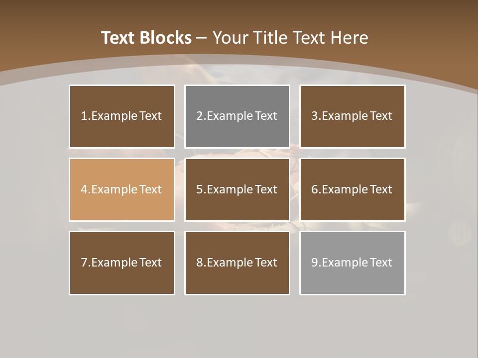 Baby In Prenatal Care PowerPoint Template