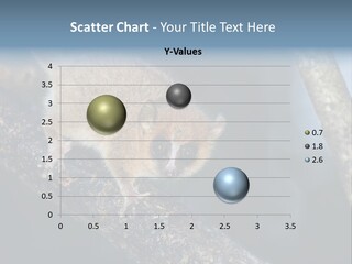 Grey Mouse Lemur (Microcebus Murinus). Endemic To Madagascar. Ranomafana National Park, Ranomafana, Madagascar PowerPoint Template