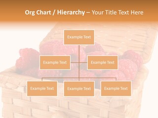 The Bast-Basket With A Raspberry Is Photographed On A White Background PowerPoint Template