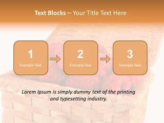 The Bast-Basket With A Raspberry Is Photographed On A White Background PowerPoint Template