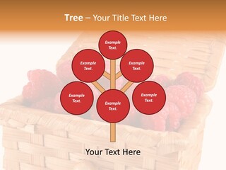 The Bast-Basket With A Raspberry Is Photographed On A White Background PowerPoint Template