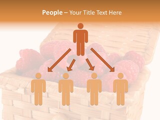 The Bast-Basket With A Raspberry Is Photographed On A White Background PowerPoint Template