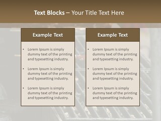 Souvlaki Grilling Outdoors PowerPoint Template