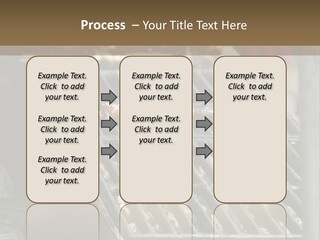 Souvlaki Grilling Outdoors PowerPoint Template