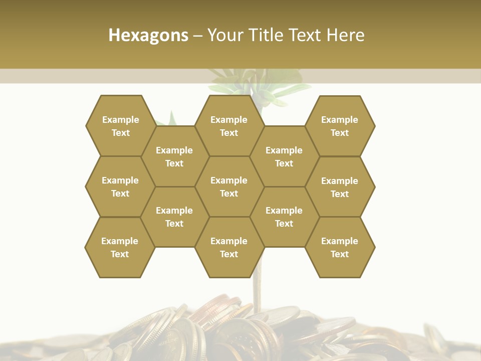 Coins And Plant, Isolated On White Background PowerPoint Template